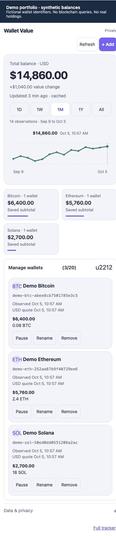 Wallet Value's phone-width interface showing a synthetic demo portfolio and fictional wallet identifiers.
